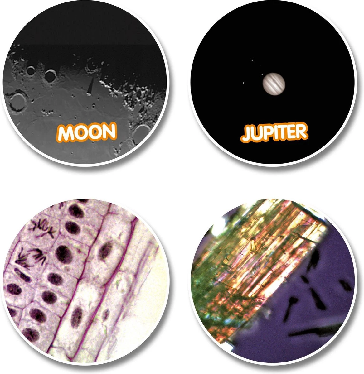 National Geographic Telescoop- En Microscoopset Voor Kinderen Incl. Accessoires 7 National Geographic Telescoop- En Microscoopset Voor Kinderen Incl. Accessoires - Afbeelding 7