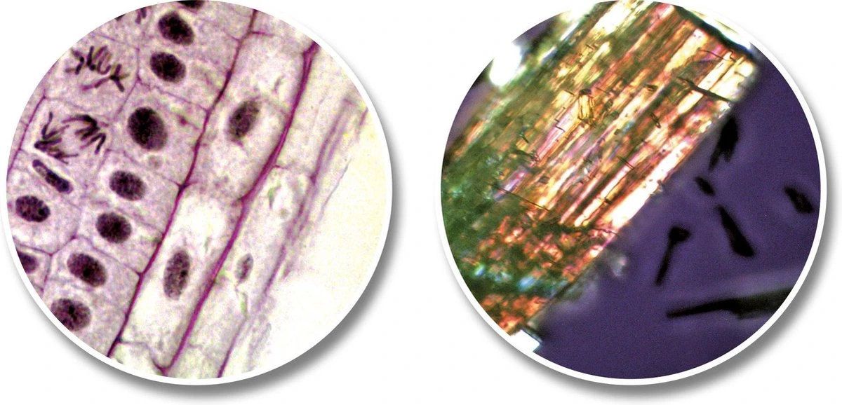 National Geographic Telescoop- En Microscoopset Voor Kinderen Incl. Accessoires 5 National Geographic Telescoop- En Microscoopset Voor Kinderen Incl. Accessoires - Afbeelding 5