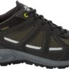Jack Wolfskin WOODLAND 2 TEXAPORE LOW - Wandelschoenen Heren