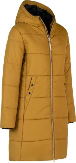 BJØRNSON Fia Winterparka Dames - Winddicht - Waterafstotend - Maat 42 - Tapenade -Fjallraven Winkel 564x1200