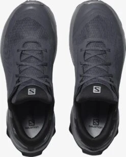 SALOMON X REVEAL GTX W Dames Trekking- En Wandelschoenen - Maat 36 2/3